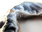 Sliced Geode Agate Detail